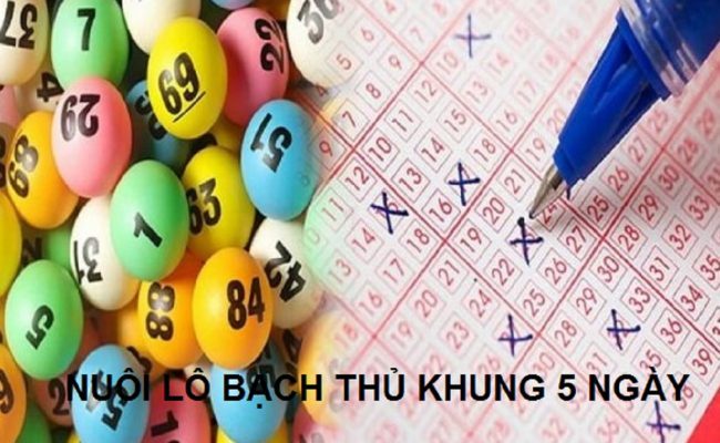 nuôi lô bạch thủ khung 5 ngày